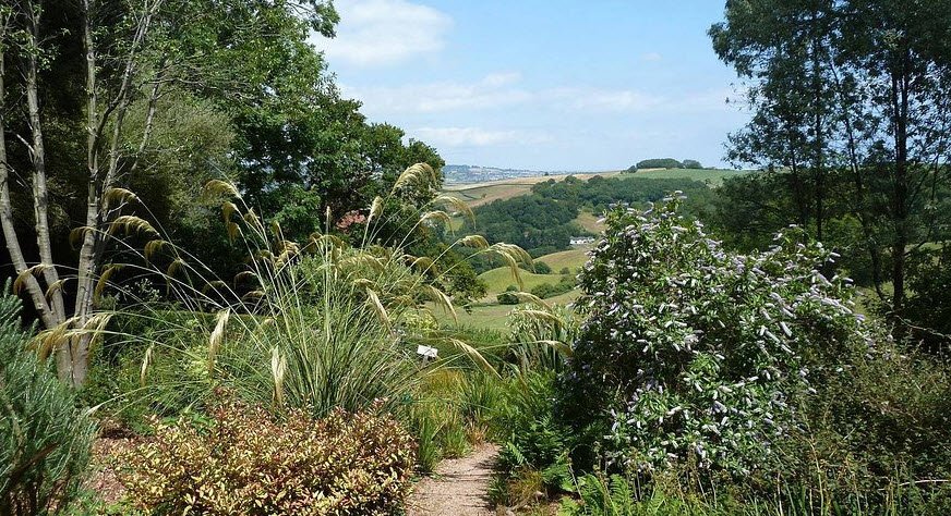 Plant World Gardens and Nursery, , United Kingdom